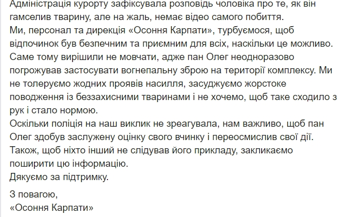 У Карпатах турист побив поні: неадекват накинувся на мирну тварину з кулаками
